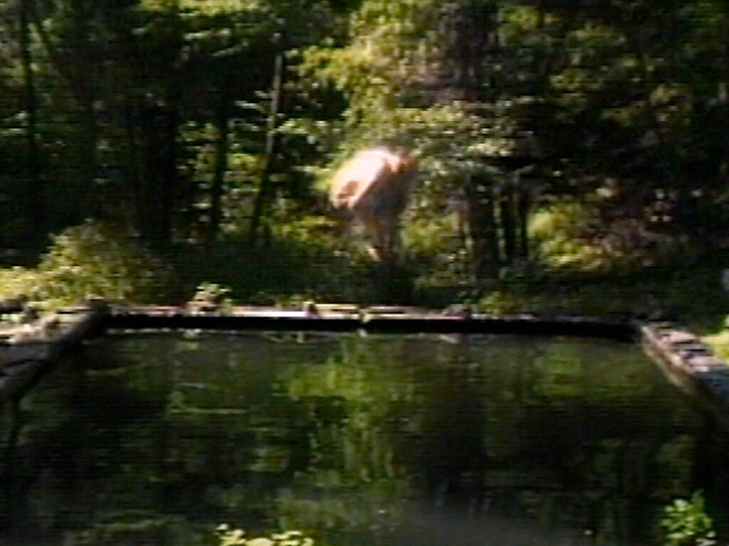 El estanque reflejante (The Reflecting Pool), 1977–79