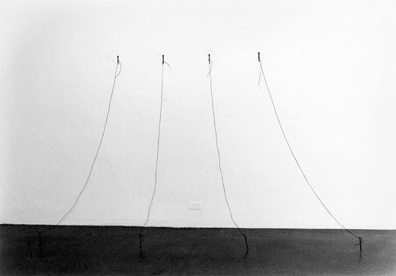 Untitled (nails), 1973