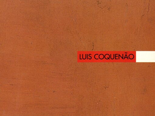 LUIS COQUENÃO