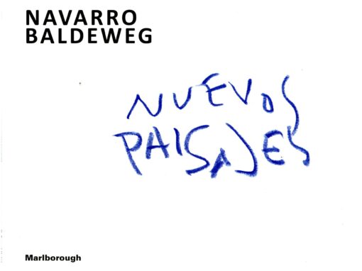 NAVARRO BALDEWEG