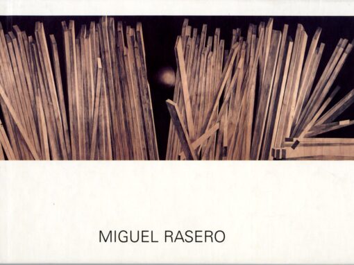 MIGUEL RASERO