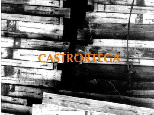 PEDRO CASTRORTEGA