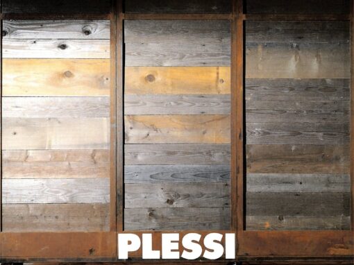 PLESSI