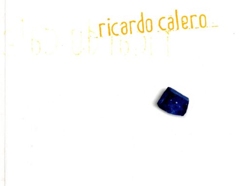 RICARDO CALERO