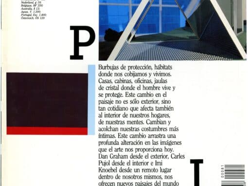 LÁPIZ Nº 81