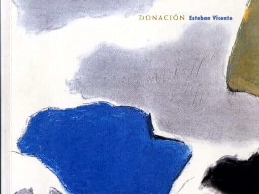ESTEBAN VICENTE