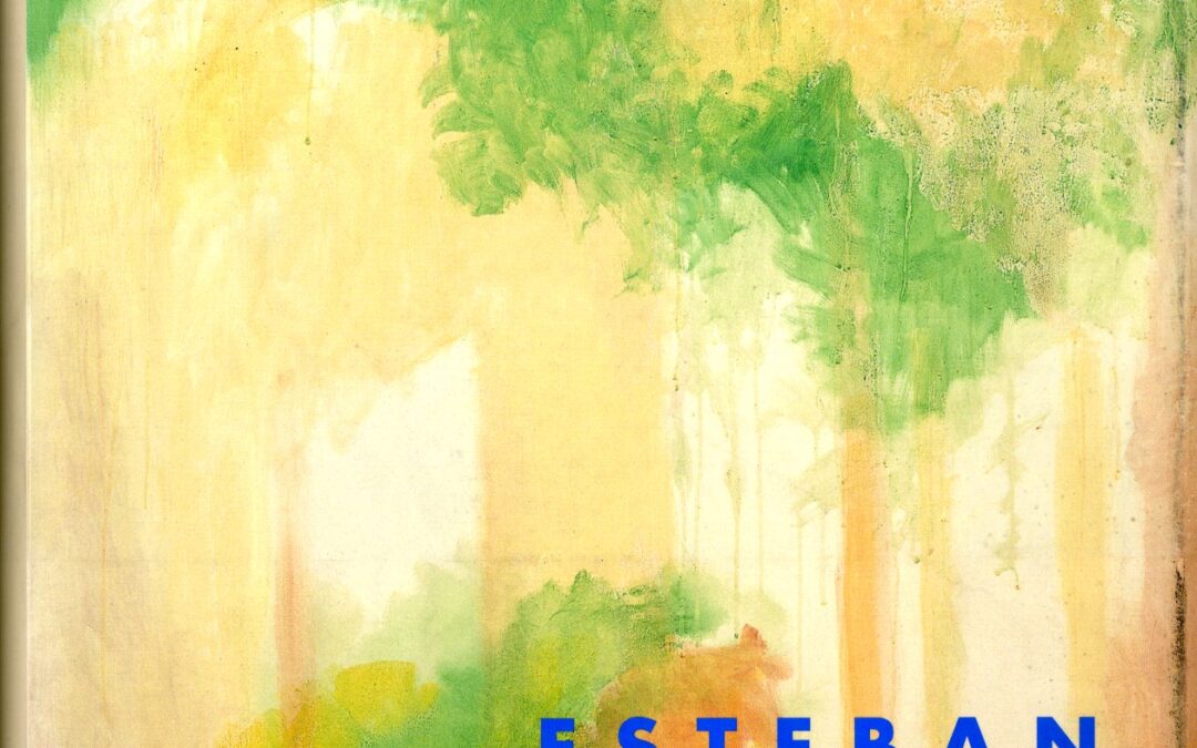 ESTEBAN VICENTE