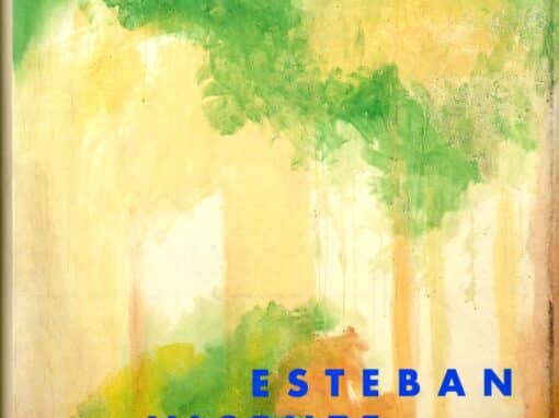 ESTEBAN VICENTE