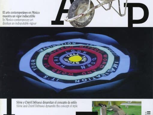 LÁPIZ Nº 209