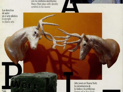 LÁPIZ Nº 218